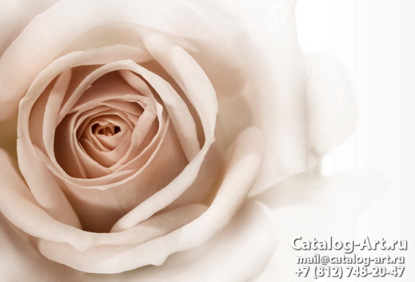 Натяжные потолки с фотопечатью - Белые розы 27